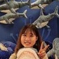 Yiying Dong